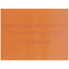 Victorias Secret Vibrant Blooming Passionfruit - 250 ML. Victoria´s Secret Cosmeticos-skincare